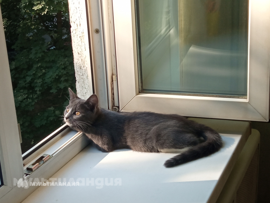 Колмаков Виктор