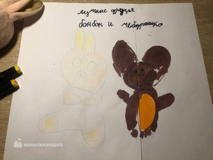 Сорокина Дарья