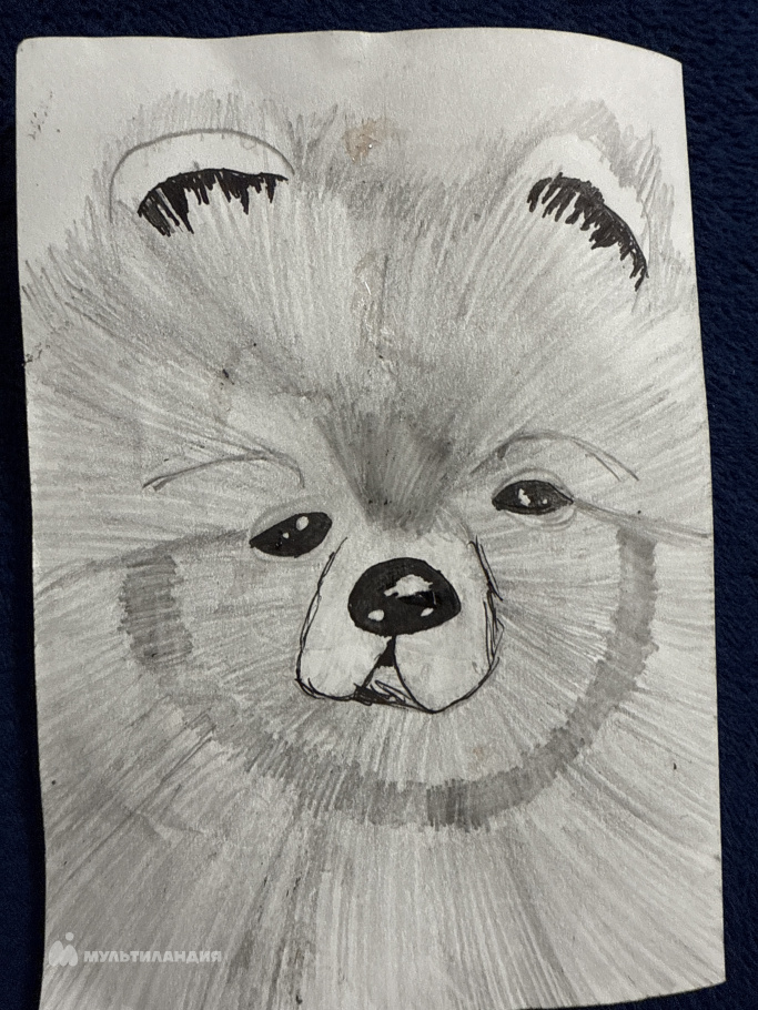 Гартунг Анастасия