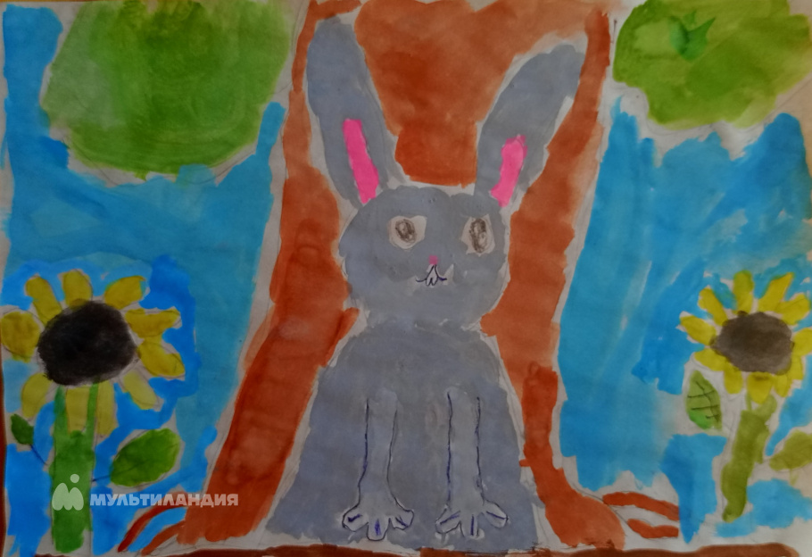 Шилко  Дарья