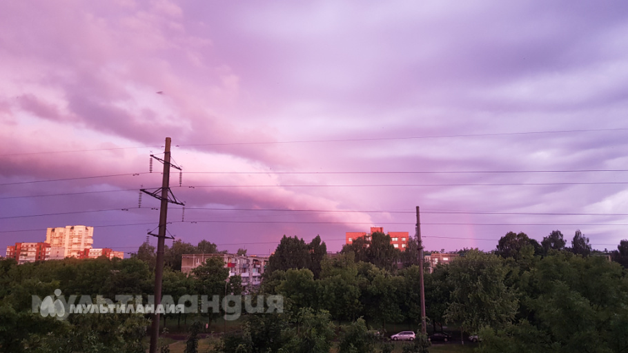 Лиза Василюк