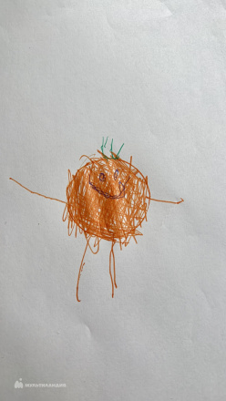 Макаренко  Василиса 