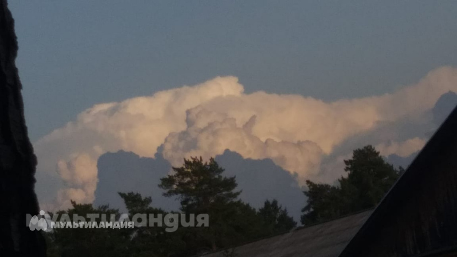 Ковригина Анастасия