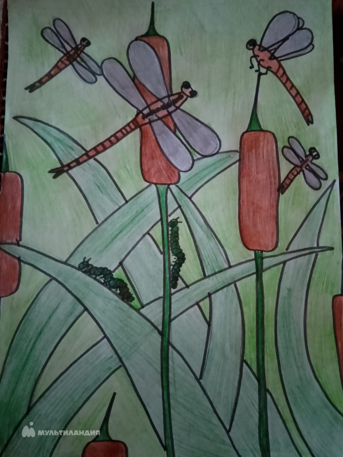 Липина  Ксения