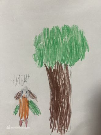 Багыров Махмуд