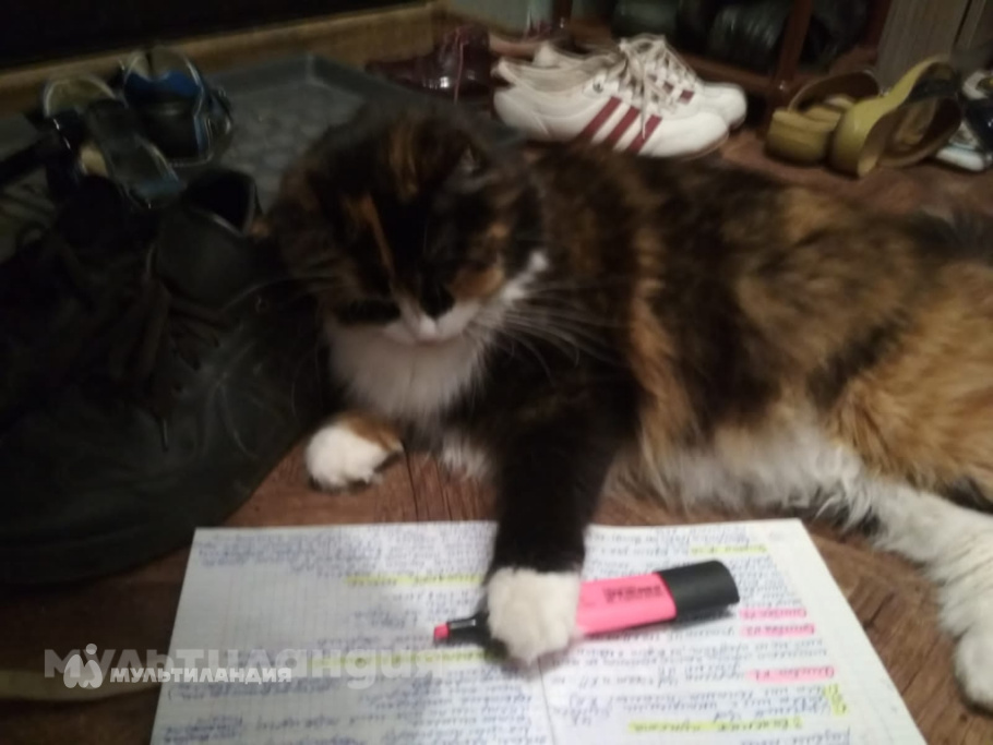 Емельянова Ксения