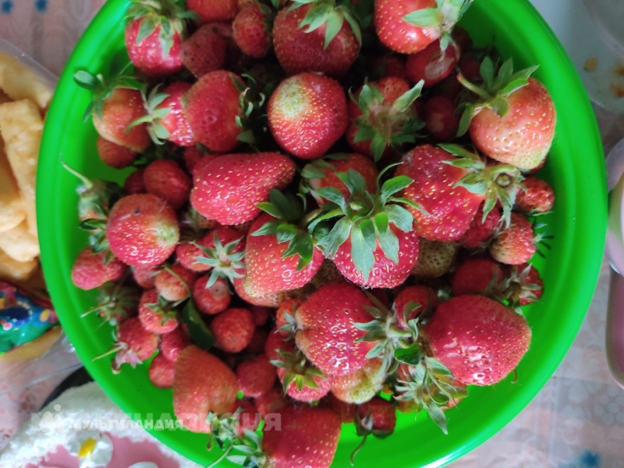 Горынцева Елизавета, 4 г.