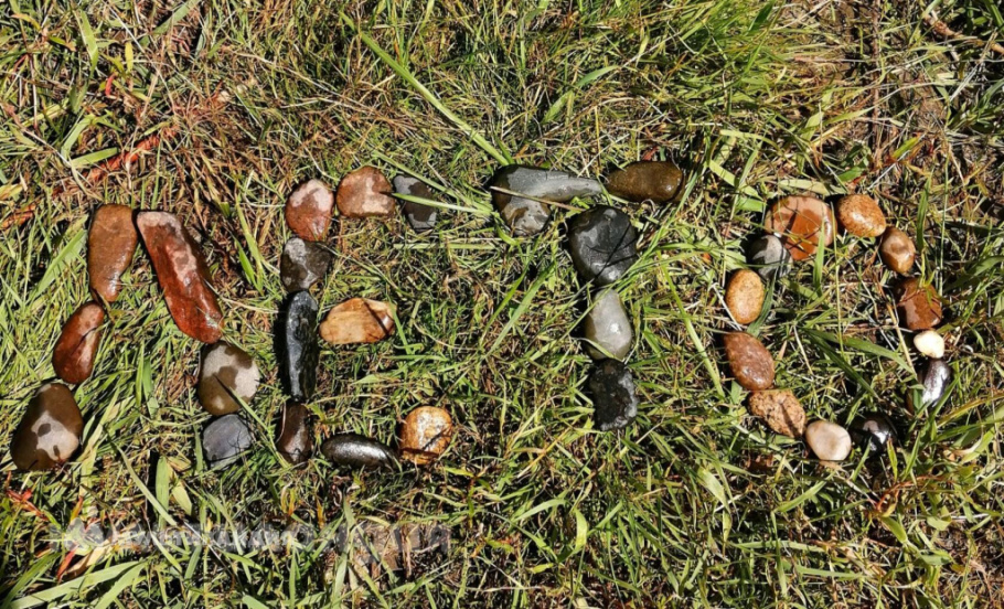 Сюзанна Терегулова