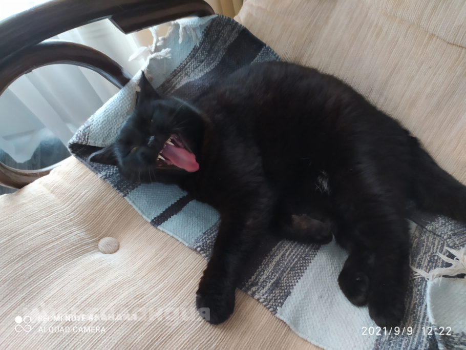 Софья Казакова