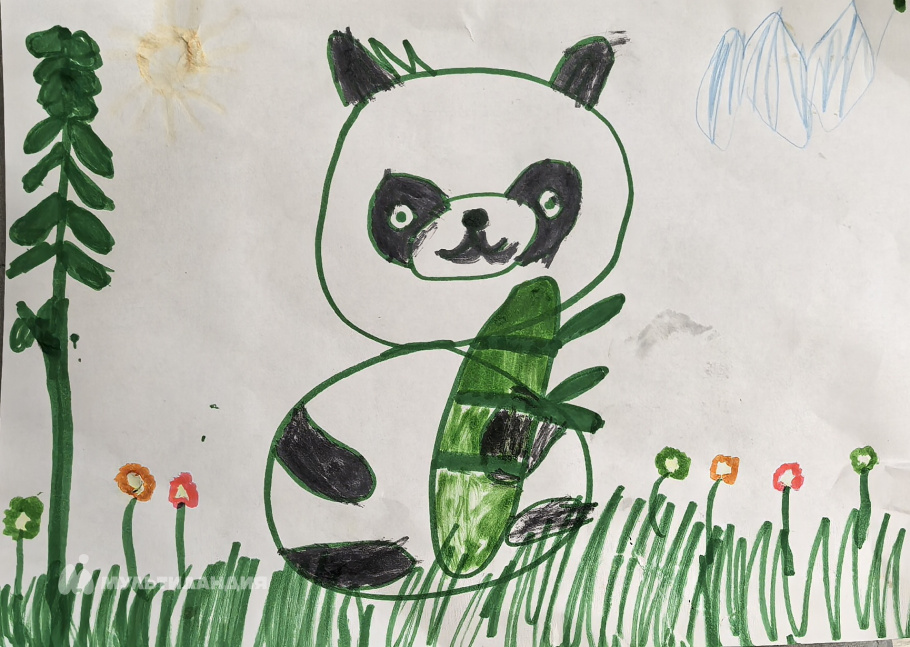 Султанова Милада