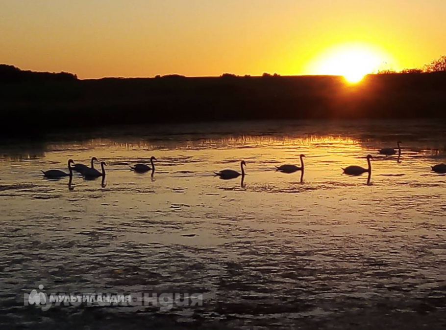 Васильева Станислава