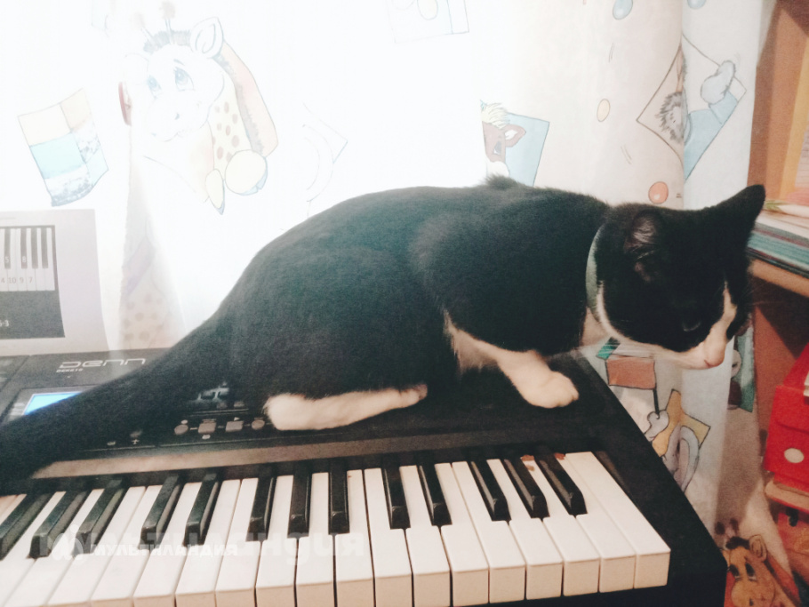 Марина Губанова