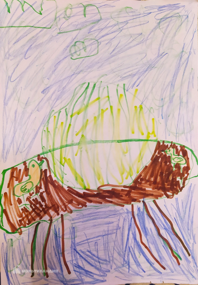 Орлова-Третьякова  Амелия