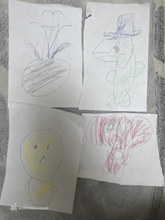 Шалухина София