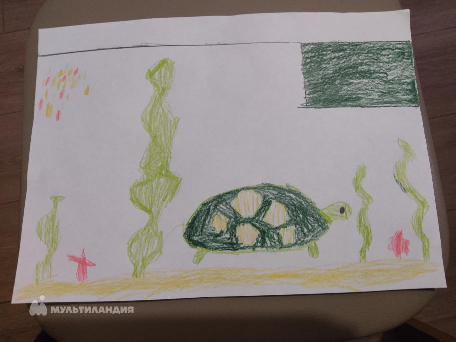 Ананьев  Дмитрий 