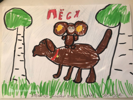 Алиева Диана