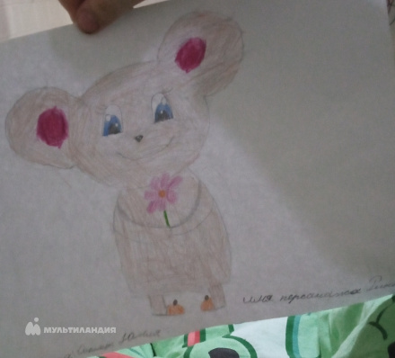 Соколова Юлия