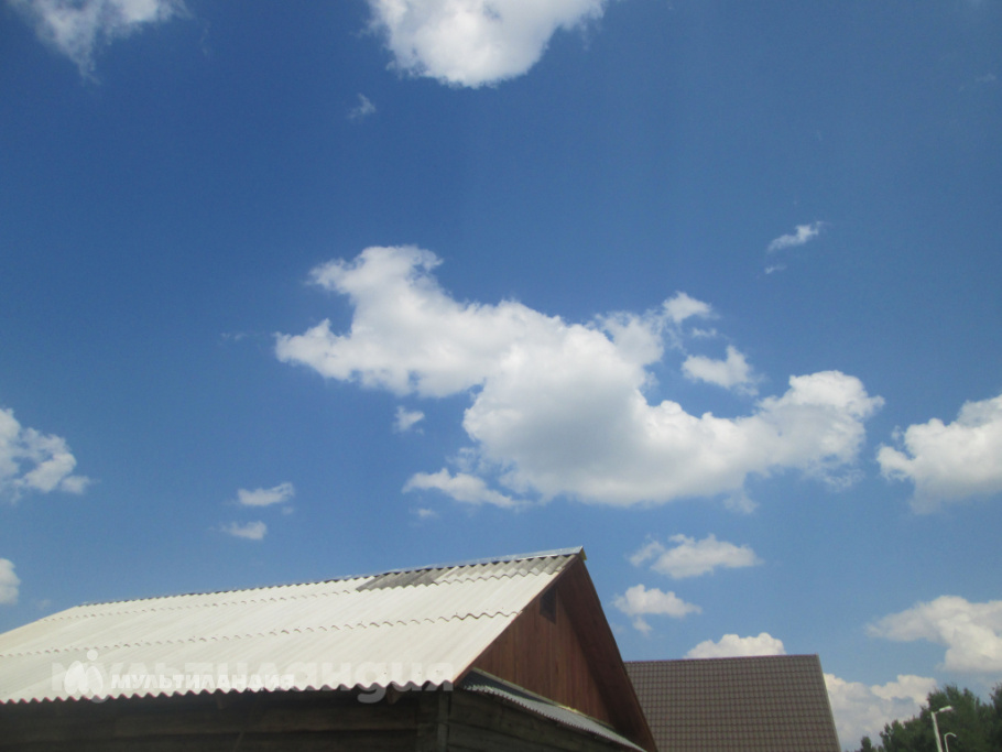 София Сидоренко