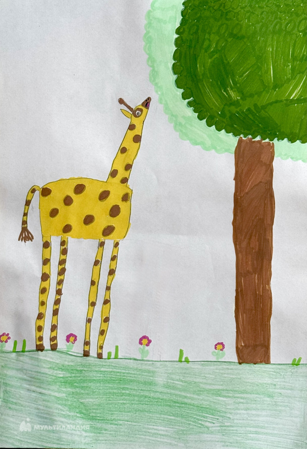 Наумова София