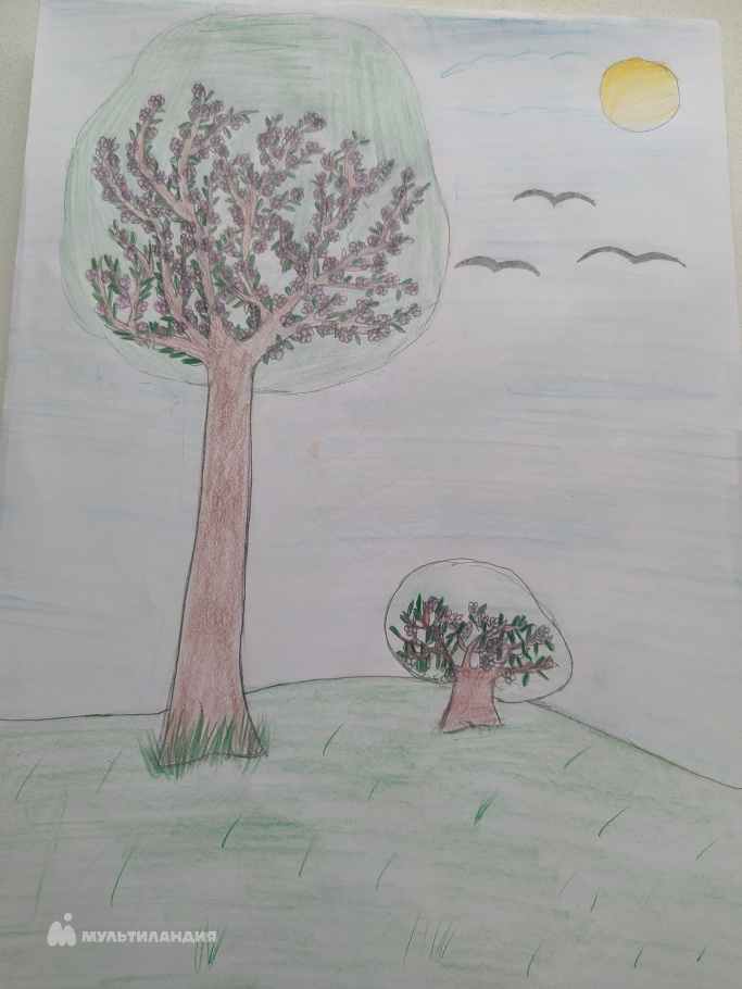 Алиева Малика