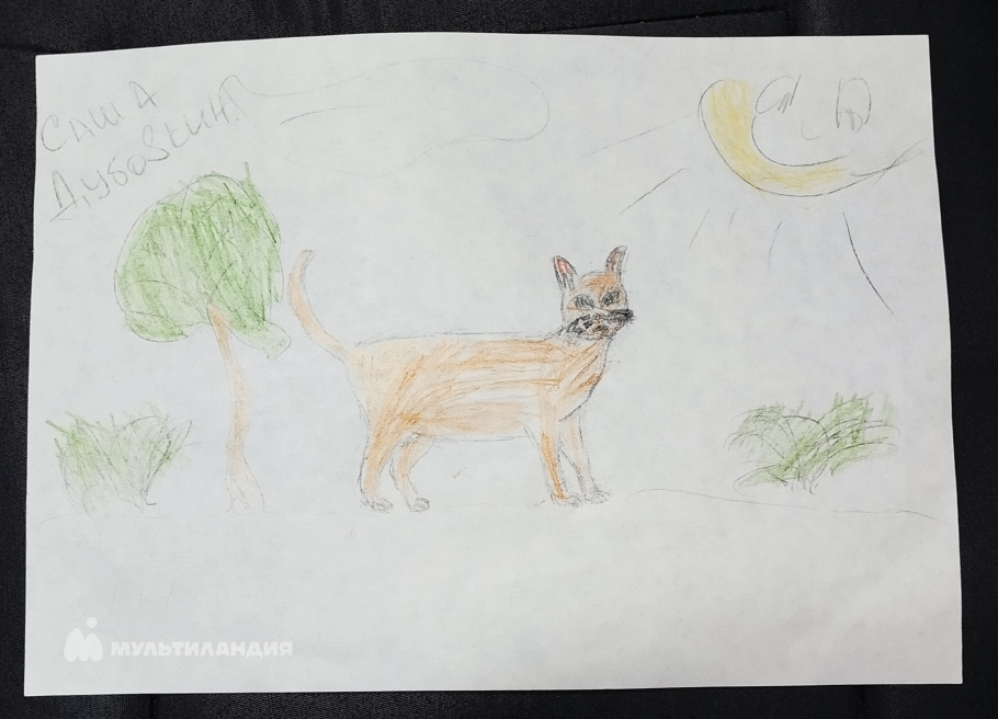 Дубовкин Александр