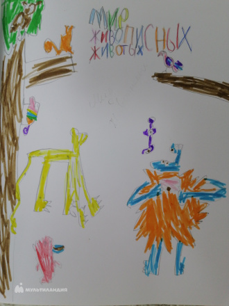 Черевко Анна