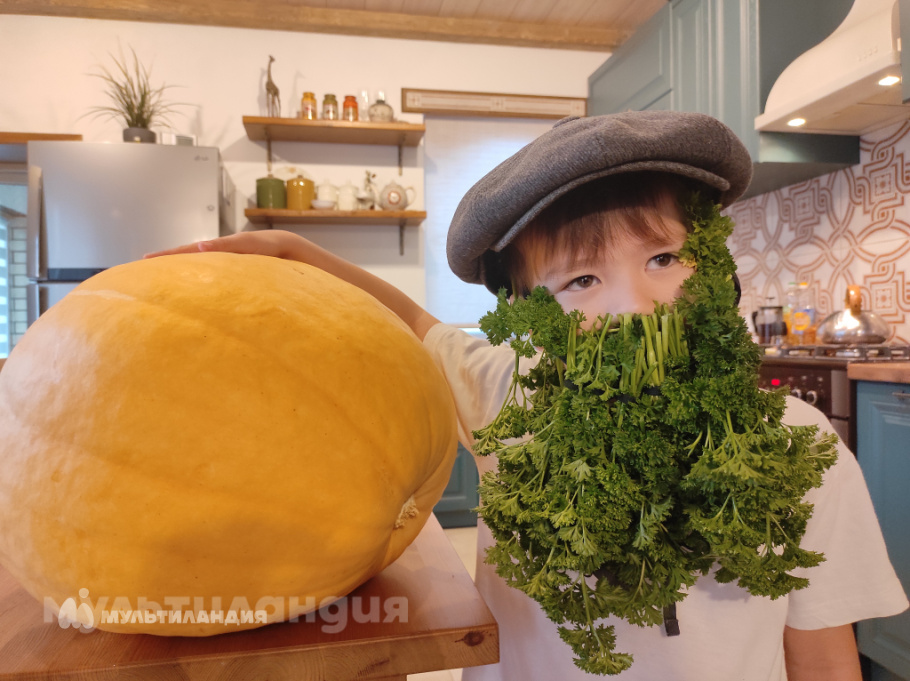 Эмир Валиев