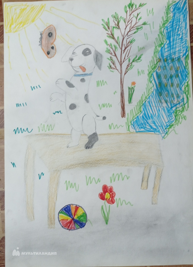 Евдокимов  Миша 