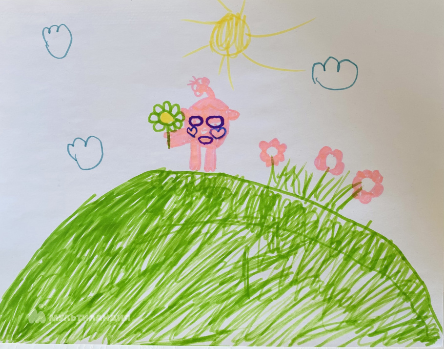 Пичуркина Елизавета 