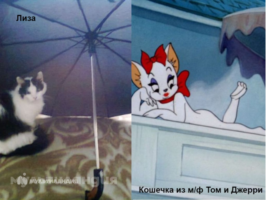 Катя Евдокимова