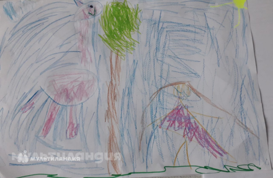 Софья Шевнина