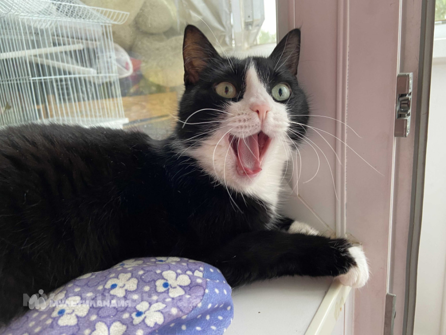 Мария Хренова