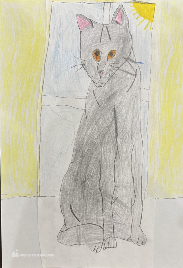 Долженко  Тимур