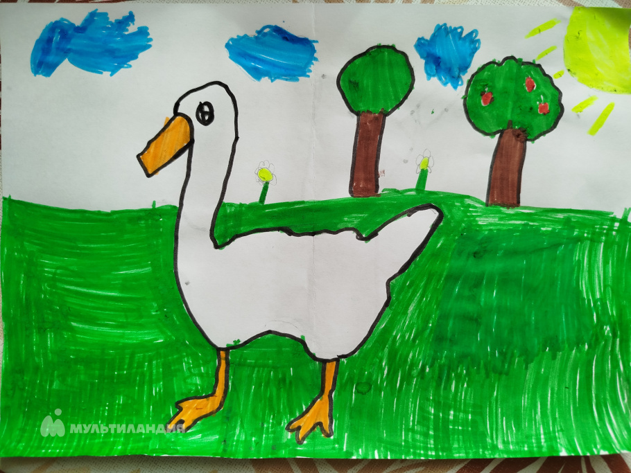 Карпова Дарья