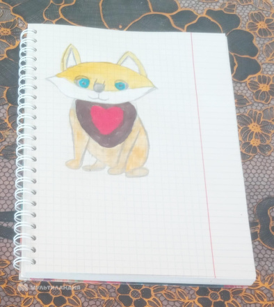 Хисаметдинов  Эмиль 