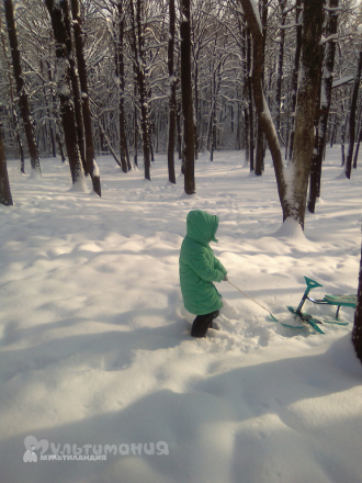 Софья Солоненко, 9 лет.