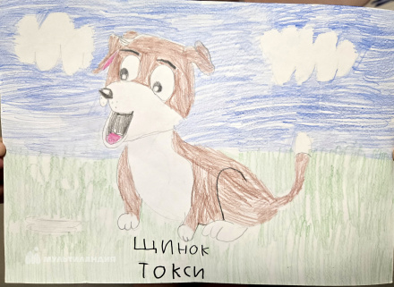 Шамарина Алёна 