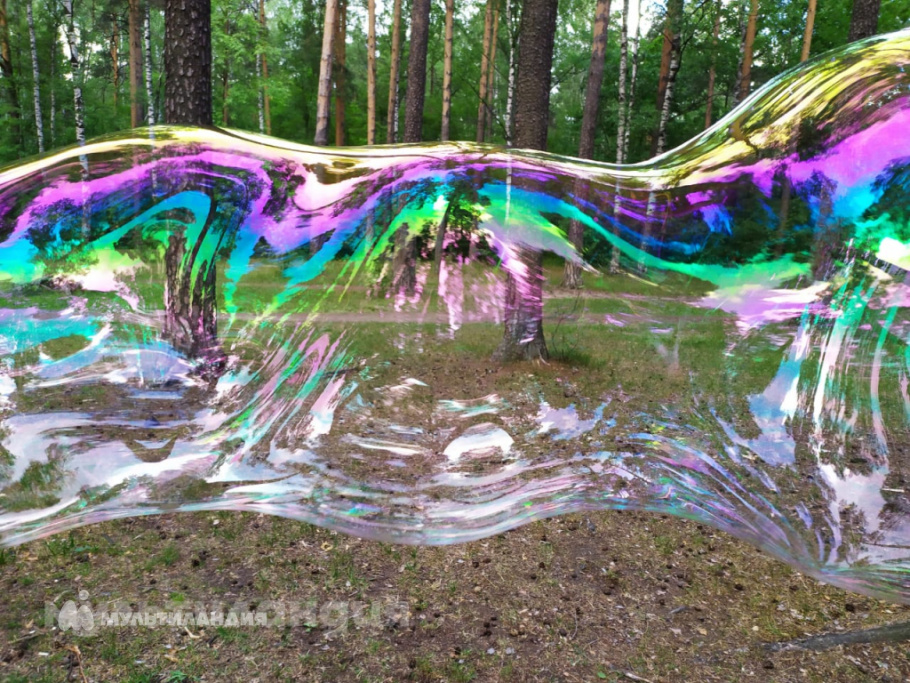 Кирилл Цыпляев 6 лет