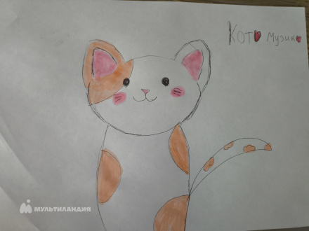 Шашина Арина