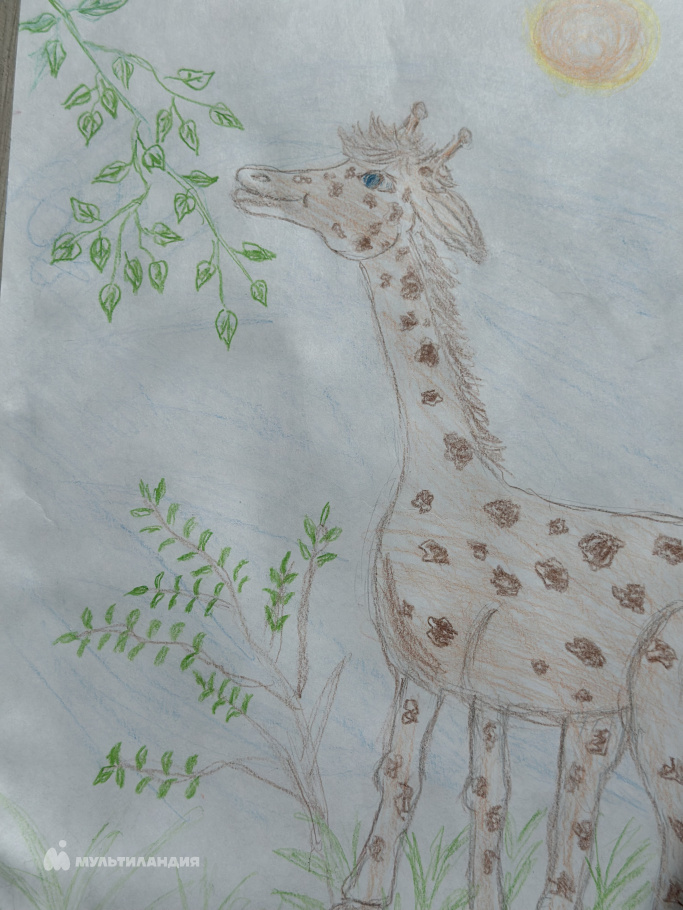 Блинков  Богдан 