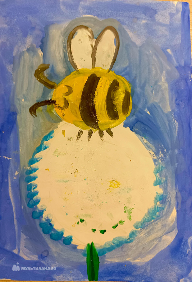 Куштысева Глеб