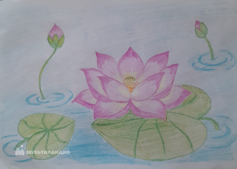 Косинская  Дарья