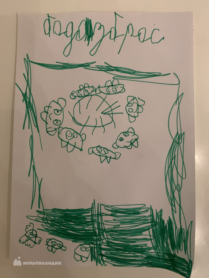 Лутченко  Матвей