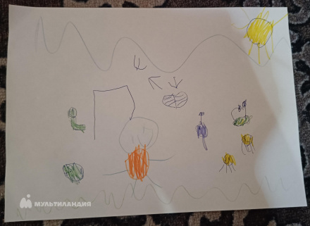 Донченко Кирилл