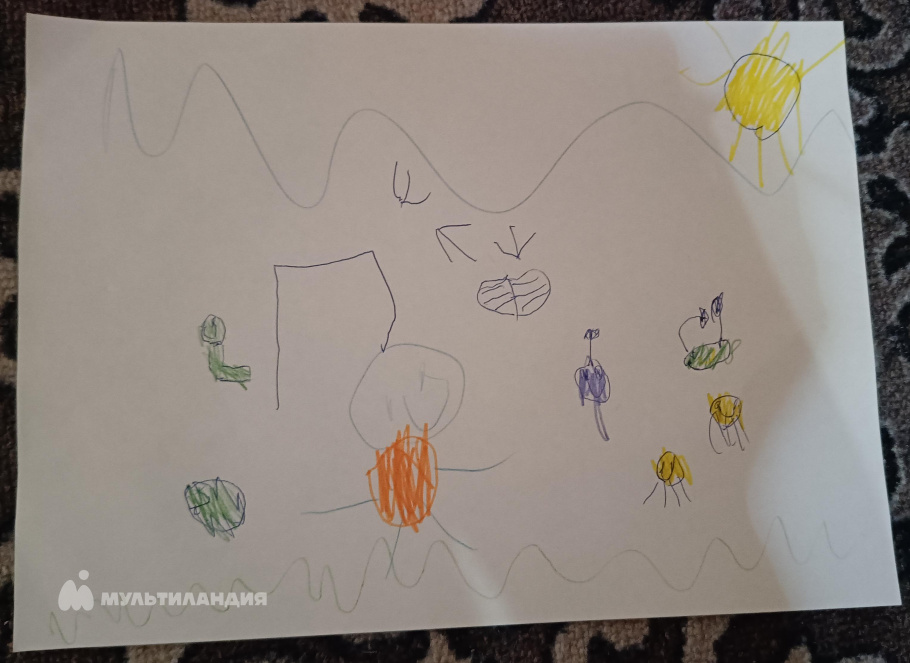 Донченко Кирилл