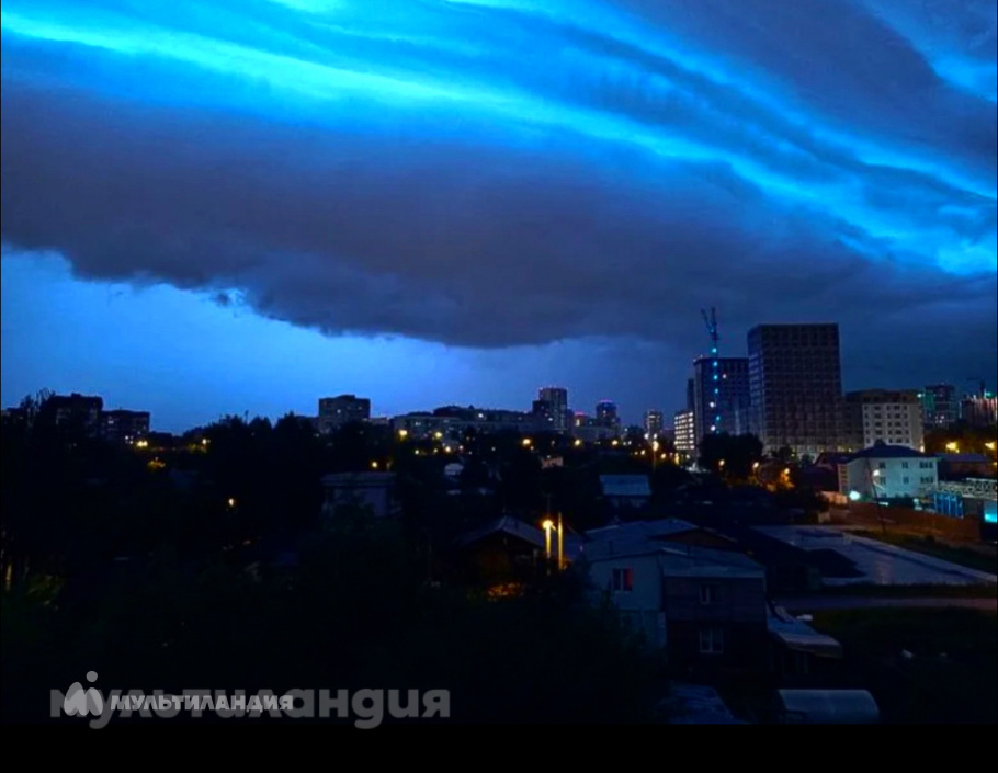 Низамова Арина