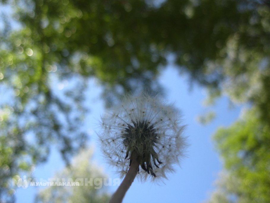 Кудрина Василиса и Кудрина Агата