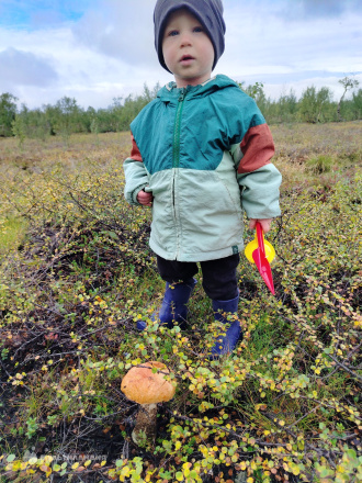 Костецкий  Федор