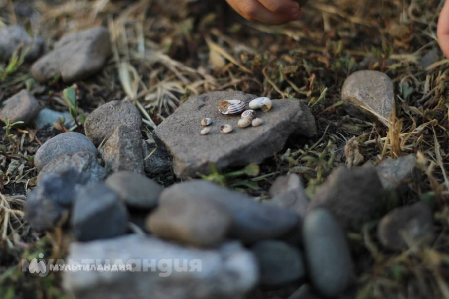 Дудукалова София