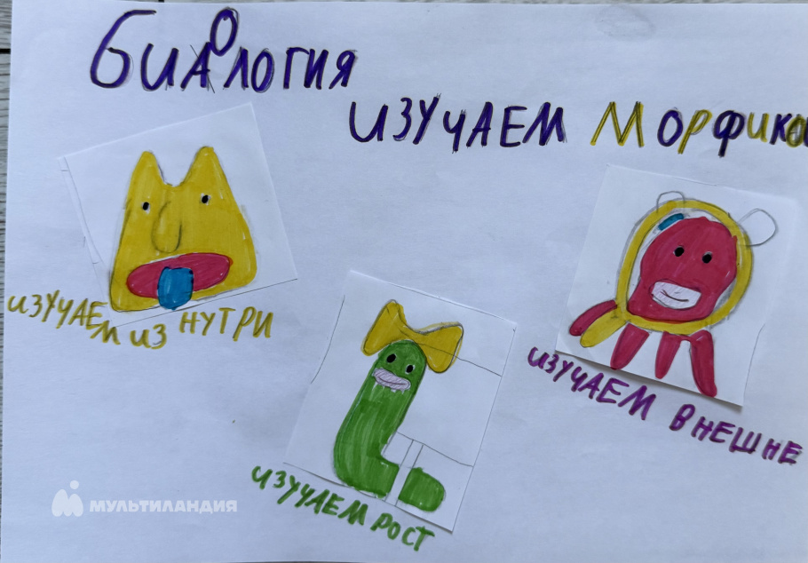 Беляева Алиса